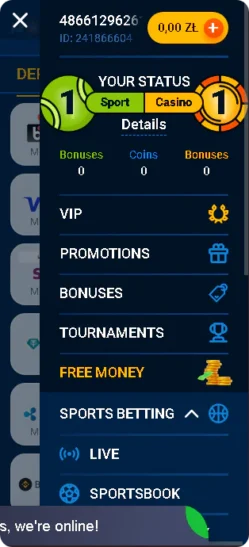 Menu aplikacji Mostbet